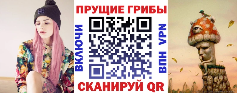 Купить закладки  Белый  Псилоцибиновые грибы MAGIC MUSHROOMS 